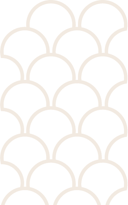 Transparent Background